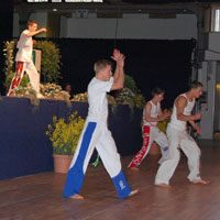 erst sportlich prsentierten sich die Capoeira-Tnzer 